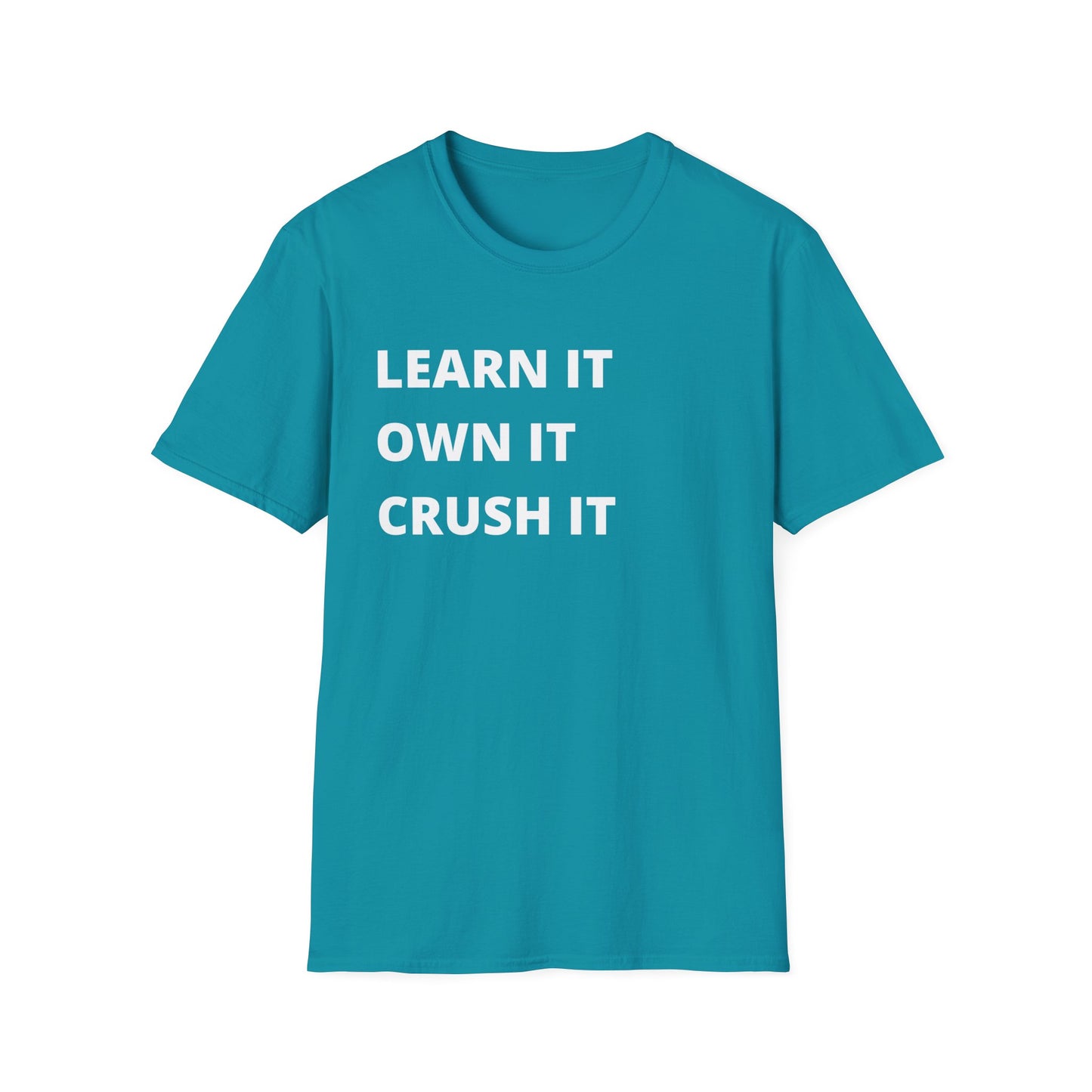 Learn, Own, Crush Unisex Softstyle T-Shirt